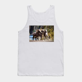 Bighorn Sheep Tank Top